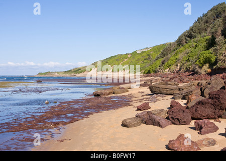 Blick nach Süden vom langen Riff Punkt Collaroy, NSW, Australia Stockfoto