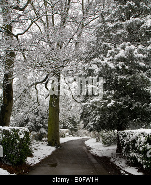 Ein Pfad, gesäumt mit schneebedeckten Bäumen in Reigate, Surrey April 2008 Stockfoto