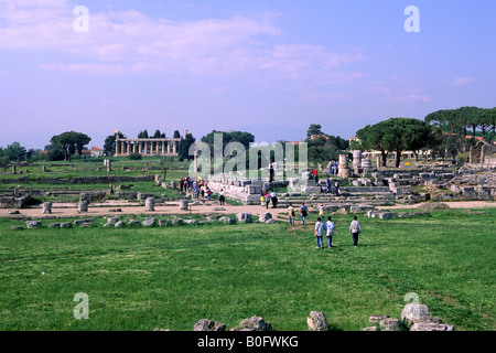 Italien, Kampanien, Paestum, Forum Stockfoto