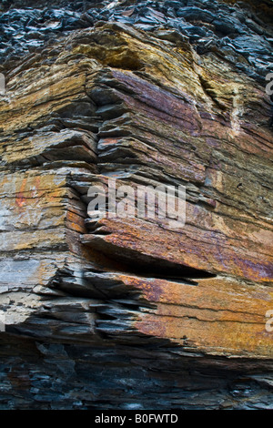 Jurassic Rock Gesicht, Kimmeridge Bay, Dorset Stockfoto