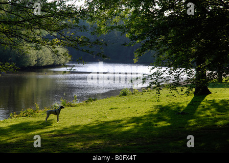Mevlana Park Roermond Niederlande Stockfoto
