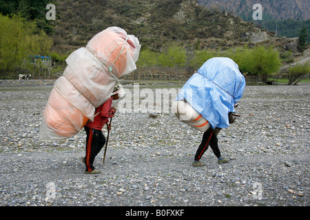 Träger, tragen von schweren Lasten auf dem Rücken Annapurna-Nepal Stockfoto