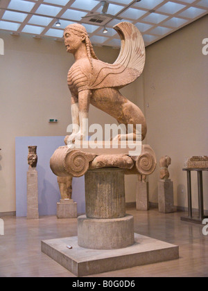 Naxos-Sphinx, Archäologisches Museum Delphi, Griechenland Stockfoto