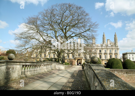 Clare College Cambridge Universität von Clare Bridge, Cambridge University, England UK Stockfoto