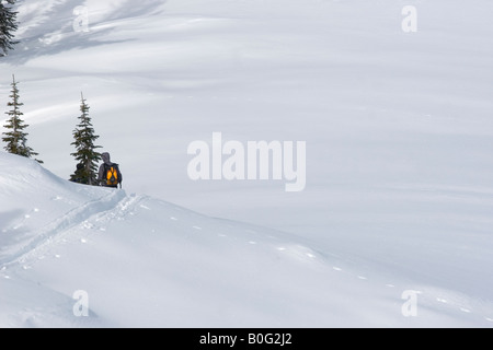 North America Idaho Sawtooth Mtn Sortiment Copper Mountain Wanderungen eine Frau auf eine Haut-Spur in Idaho Backcountry. HERR Stockfoto