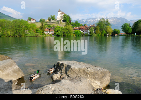 Schöner See und Schloss Werdenberg im Frühling, Rheintal CH Stockfoto