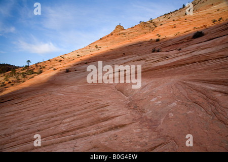 Sonnenaufgang am Sandsteinfelsen, Zion Nationalpark, Utah Stockfoto