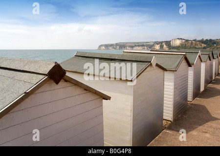Strand-Hütte Meer Seaton Devon England uk Stockfoto
