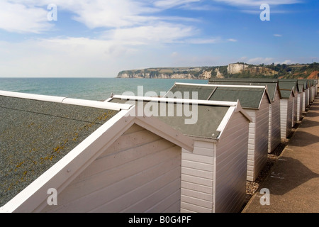 Strand-Hütte Meer Seaton Devon England uk Stockfoto