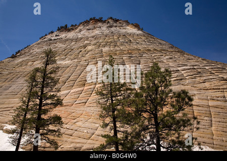 Checkerboard Mesa, Zion Nationalpark, Utah Stockfoto