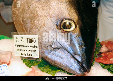 Thunfisch Kopf La Boqueria Markt Barcelona Katalonien Spanien Stockfoto