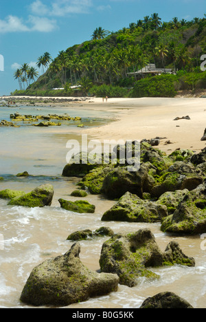 Ponta Pirambu Strand Tibau Do Sul Bezirk Pipa Strand Rio Grande do Norte Brasilien Stockfoto