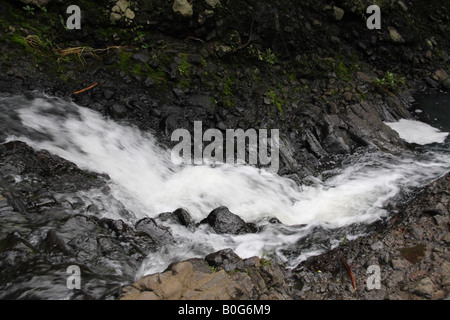 Schnellen Stream bei Kitekite fallen. Stockfoto