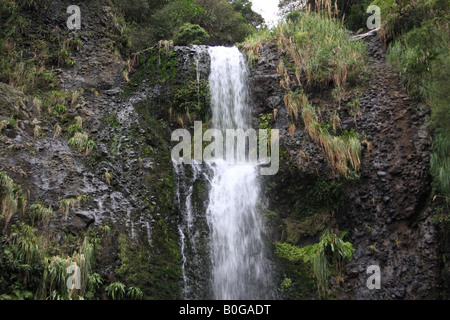 Kitekite Herbst, Piha, Neuseeland. Stockfoto