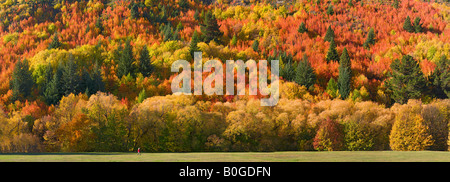 Herbst-Szene in Arrowtown in der Nähe von Queenstown, Central Otago, Neuseeland Stockfoto