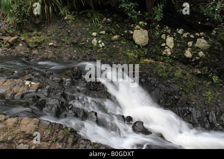 Rapid-Stream von Kitekite Herbst. Stockfoto