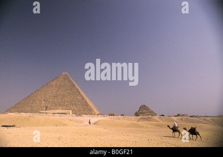Ein Reiter mit zwei Kamelen reist quer durch die Wüste in der Nähe der Pyramiden, Gizeh, Ägypten. Stockfoto