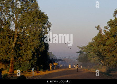 Menschen zu Fuß auf einer Straße in den frühen Morgenstunden, Bahir Dar, Äthiopien. Stockfoto