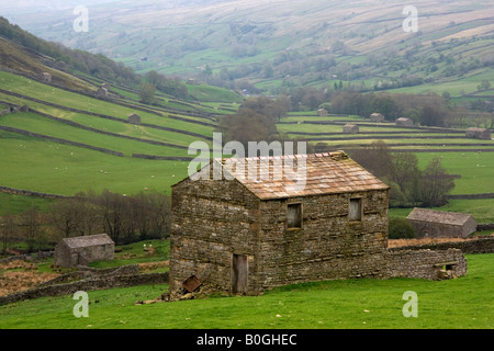 Die markante und berühmte Scheunen von Swaledale zu wiederholen, in die Ferne in den Feldern in der Nähe von Keld, Yorkshire Dales Stockfoto