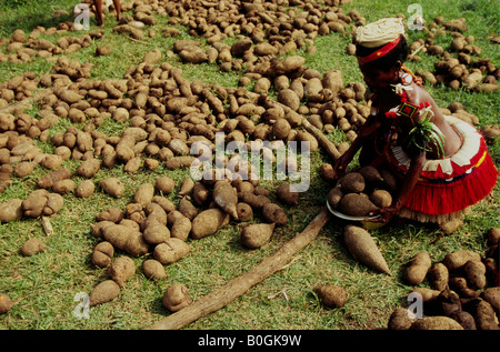 Eine Frau, die Süßkartoffeln in einem Dorf in Vorbereitung auf die Yam Erntefest, Trobriand-Inseln, Papua Neu Guinea zusammengesetzte stapeln. Stockfoto