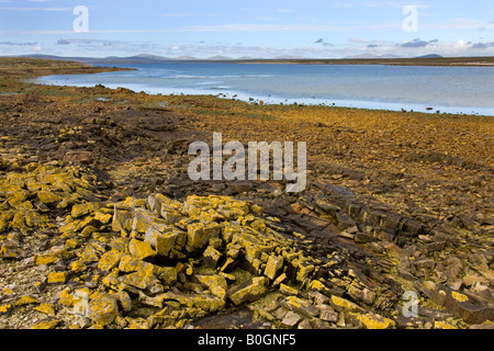 Abgelegener Strand auf Pebble Island West Falkland auf den Falkland-Inseln Stockfoto