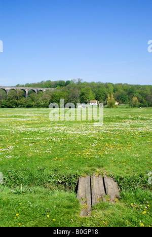 Porthkerry Parken Barry Vale von Glamorgan-Süd-wales Stockfoto