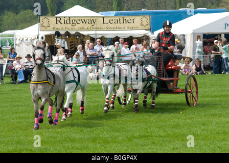 Chariots of Fire Display Team Stockfoto