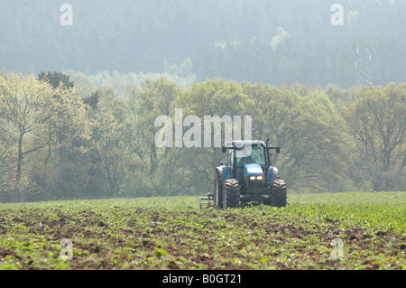 Anbau eines Feldes in Staffordshire, England Stockfoto