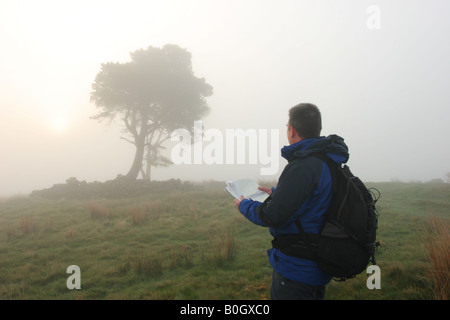 Hügel Walker Überprüfung der Karte gegen eine Funktion während der Navigation im Nebel Loups Hill, Teesdale, County Durham Stockfoto