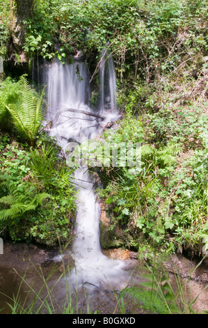 Ein Wasserfall im Luxulyan Tal, St Austell, Cornwall. Stockfoto