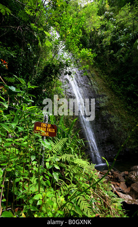 Manoa Falls Wasserfall, Schild mit Wasser im Hintergrund Stockfoto