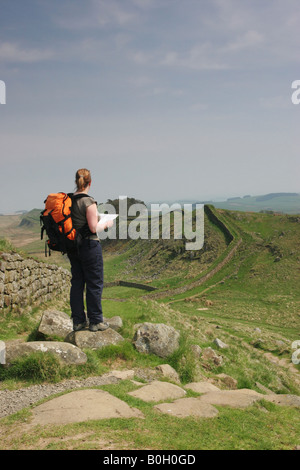 Frau Hill Walker mit Karte genießen der Aussicht Osten am Hadrianswall s in der Nähe von Housesteads Fort Northumberland Stockfoto