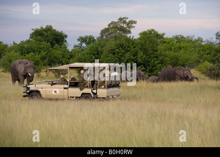 Reisegruppe beobachten Elefanten in der Nähe von Savuti Safari lodge Botswana Afrika Stockfoto