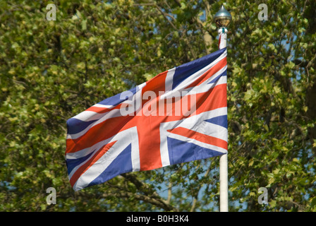 Horizontale Nahaufnahme von der Rückseite des Union Jack-Flagge gegen Bäume in der Sonne. Stockfoto