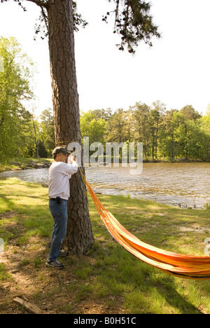 Kaukasischen Mann (40-45) Bindungen Hängematte zum Baum am See Bailey am Petit Jean Staatspark Arkansas USA Stockfoto