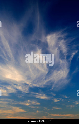 Winter-Cirrus Himmel trail Wolken in einem tiefblauen Himmel polarisierte Stockfoto