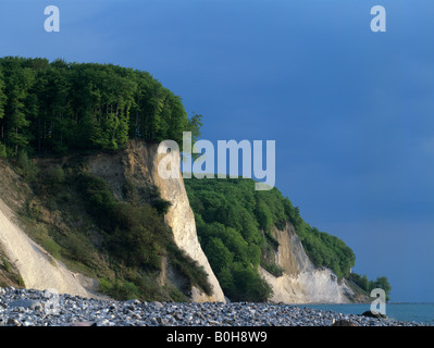 Küste, Kreidefelsen-Küste am Kieler Ort, Nationalpark Jasmund, Rügen, Mecklenburg-Vorpommern, Deutschland, Europa Stockfoto