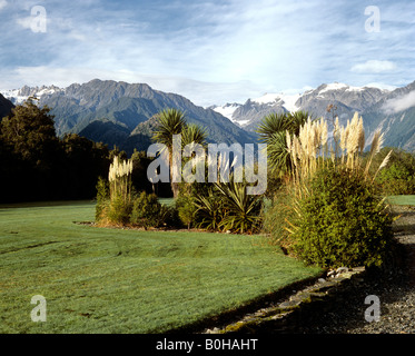 Landschaft am Franz Josef Gletscher, Südinsel, Neuseeland Stockfoto