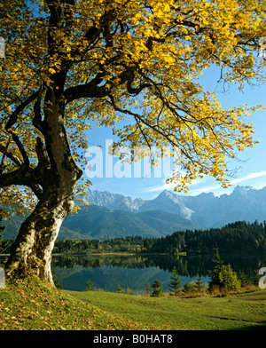 See-Barm im Herbst, Panorama Blick, Karwendel Range an der Rückseite, Krün, Upper Bavaria, Bavaria, Germany Stockfoto