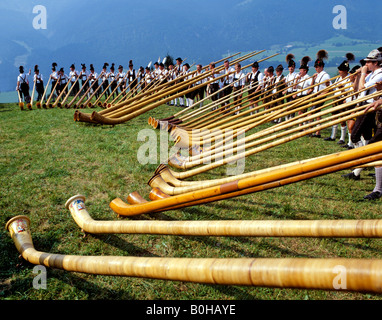 Sammeln von Alphorn oder Alphorn-Spieler in der Nähe von Streichen in der Chiemgau Region, Upper Bavaria, Bavaria, Germany Stockfoto