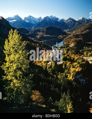 Schloss Neuschwanstein, Panoramablick im Herbst, Alpsee, Allgäuer Alpen, Allgäu, Bayern, Deutschland Stockfoto