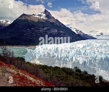 Perito Moreno Gletscher, Campo de Hielo Sur, Anden, Patagonien, Argentinien, Südamerika Stockfoto