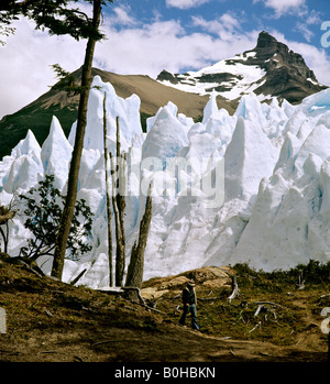 Perito Moreno Gletscher, Campo de Hielo Sur, Stockfoto