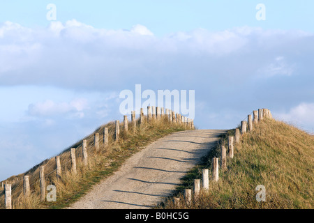 Weg durch grasbedeckten Dünen in der Nähe von Zoutelande, Walcheren, Zeeland, Niederlande Stockfoto