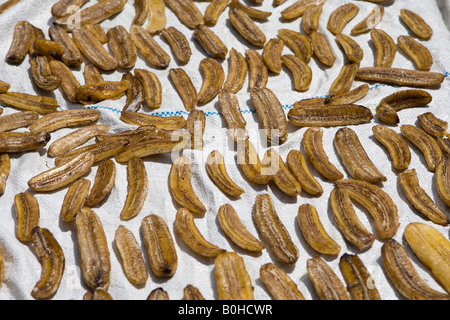 Bananen zum Trocknen in der Sonne, die kleinen Sunda-Inseln, der Insel Lombok, Indonesien Stockfoto