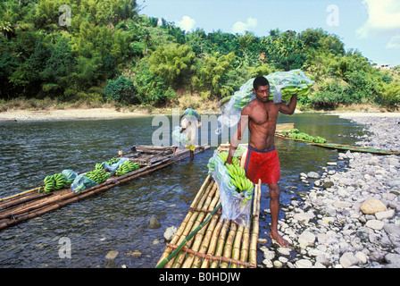 Frisch geernteten Bananen transportiert auf Bambus Flößen auf dem Fluss Rio Grande, Jamaika, Caribbean Stockfoto