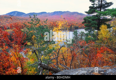 Blick über farbige Herbstblätter zum See Lac Stukely, Indian Summer im Nationalpark Mont Orford, Québec, Kanada Stockfoto