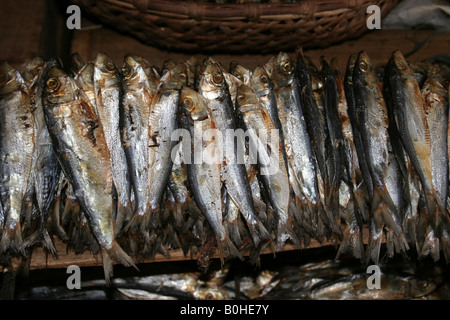 Getrockneter Fisch verkauft auf einem Markt in Bohol, Guindulman, Philippinen Stockfoto