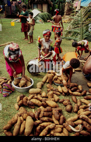 Frauen Vorbereitung Yams, ins Dorf für Yam Erntedankfest auf den Trobriand-Inseln, Cartwheel, Papua New Guinea zu nehmen. Stockfoto