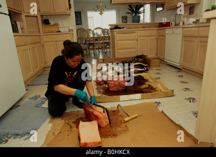 Eine Alaskan Inupiat Eskimo Frau zerschneiden Maktak Walspeck in einer Küche, Barrow, Alaska, USA. Stockfoto